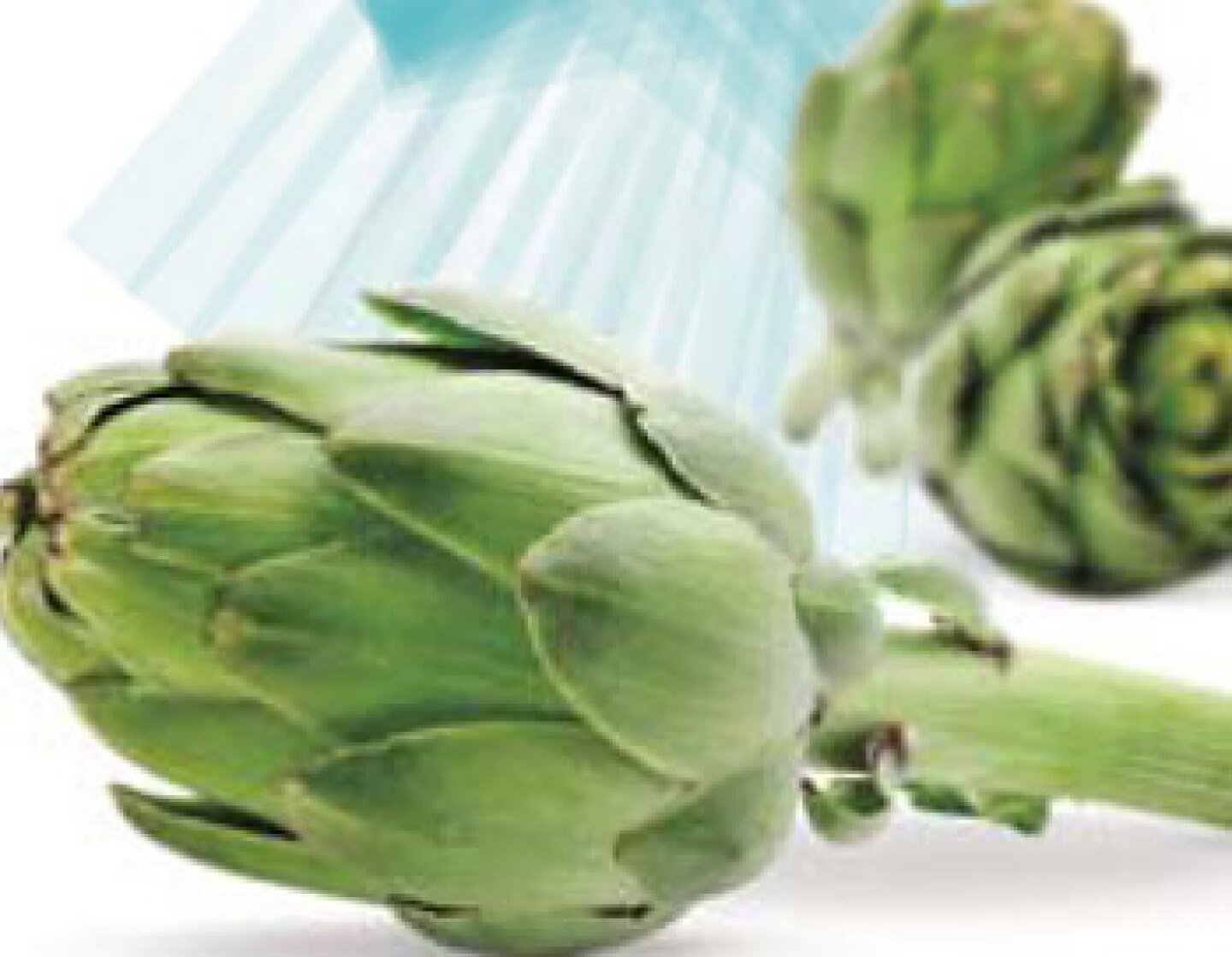 Es una hortaliza que aporta muchos minerales, vitaminas y antioxidantes.