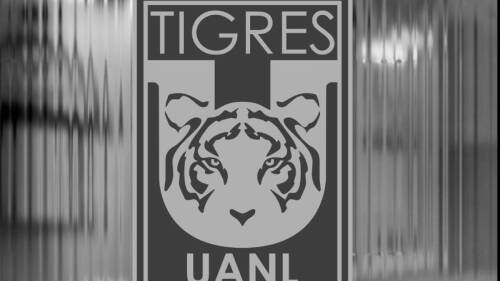 Detienen a exjugador de Tigres