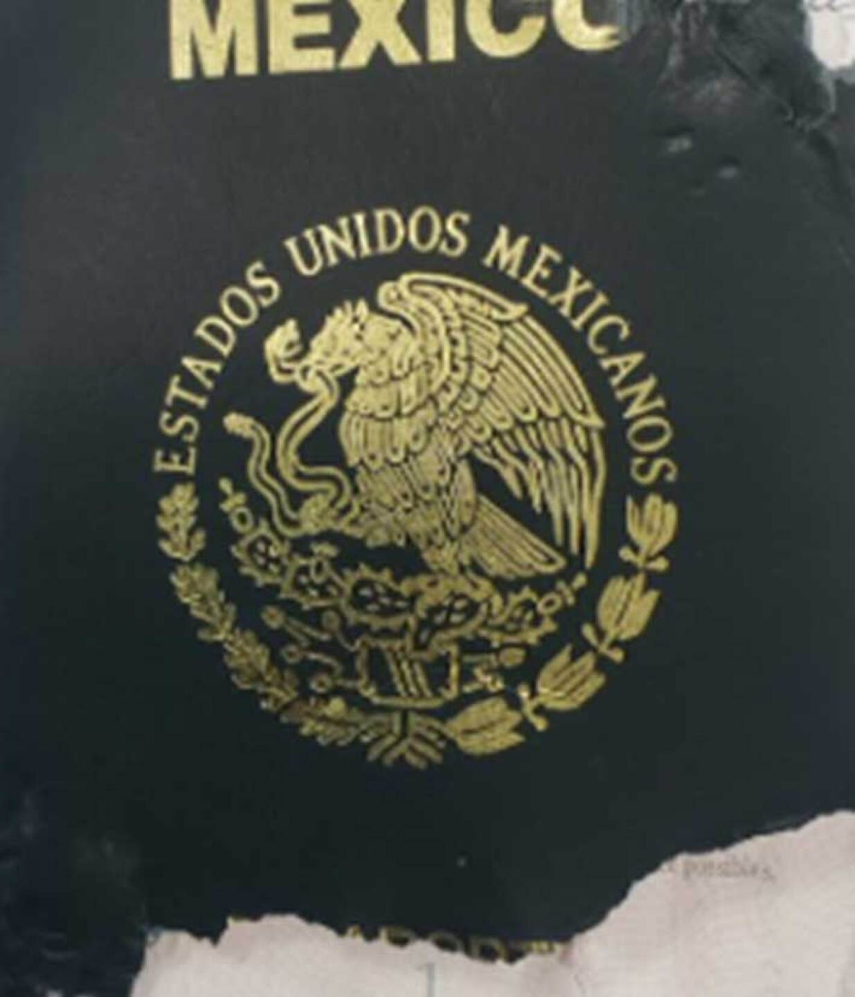 Pasaporte.