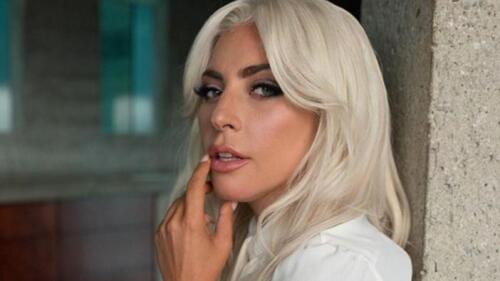 Lady Gaga pagará los gastos médicos de su paseador