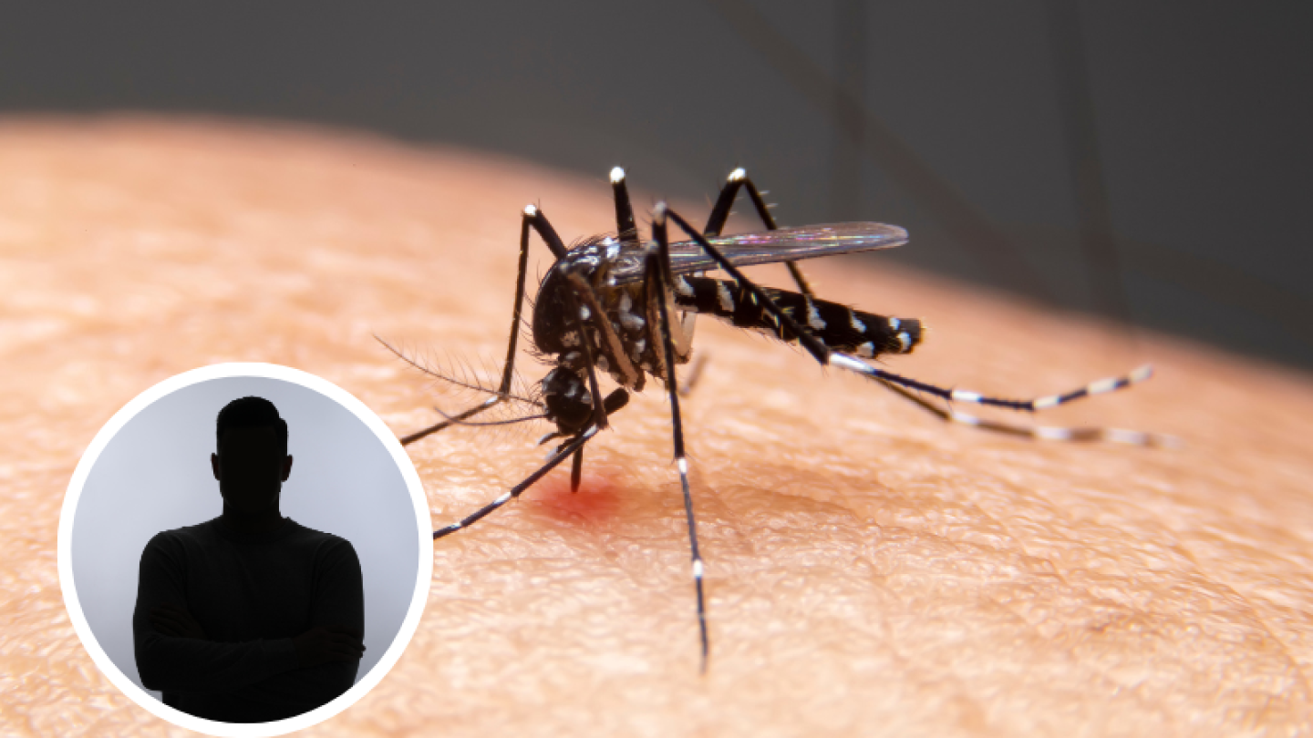 Dengue picadura mosco.png