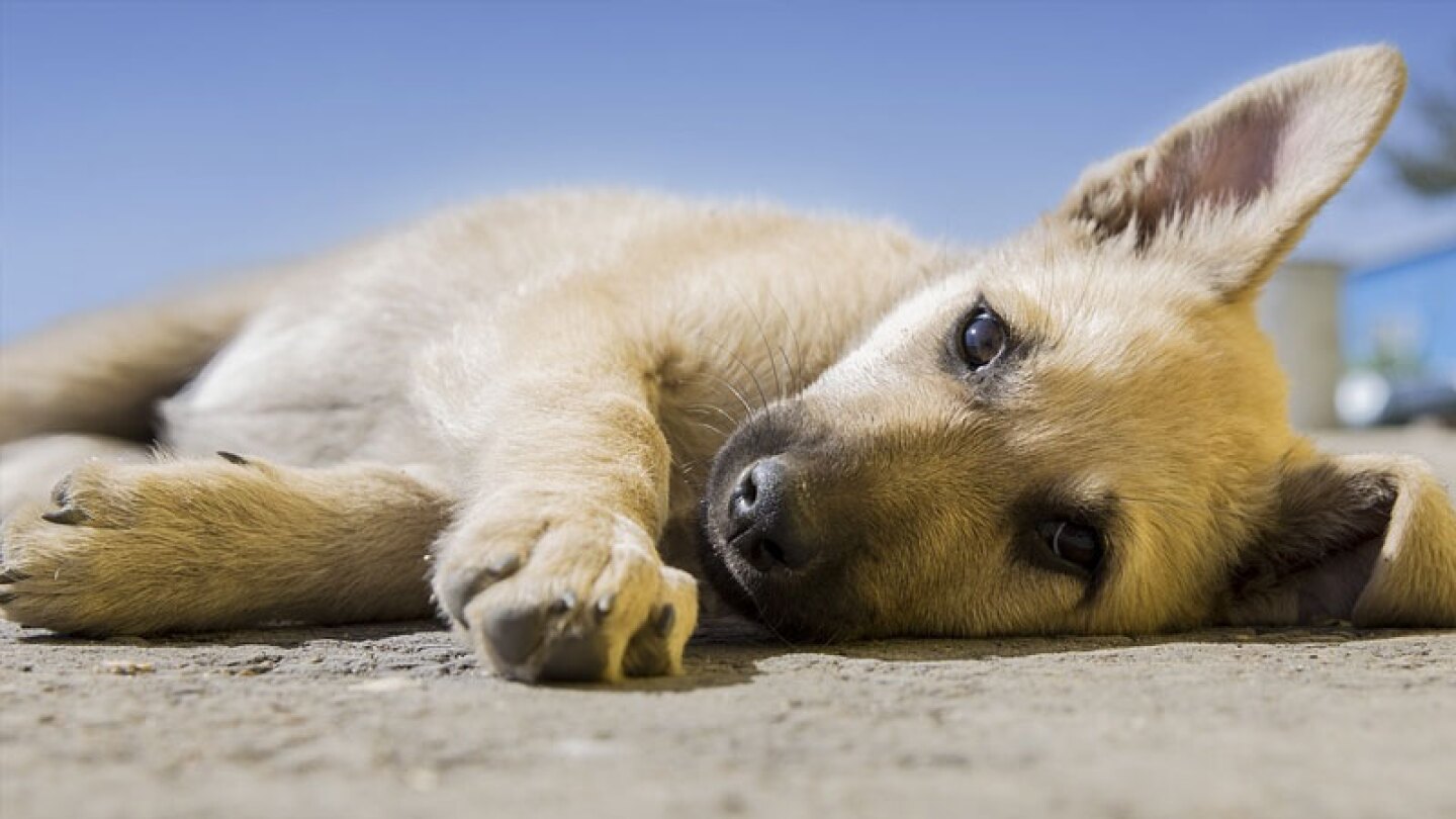 El hecho causó indignación en redes sociales