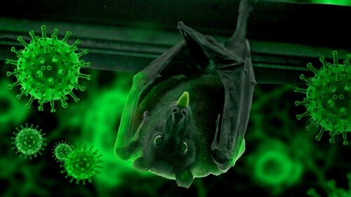 La OMS pone fin a la pandemia por Covid-19