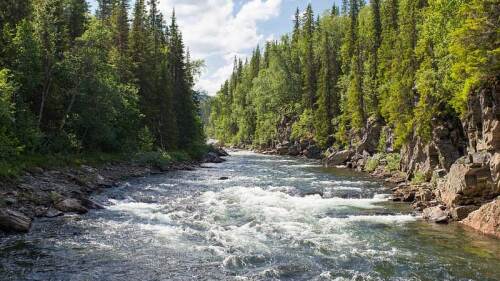 Padre migrante muere con su hija atada a su playera al cruzar Río Grande