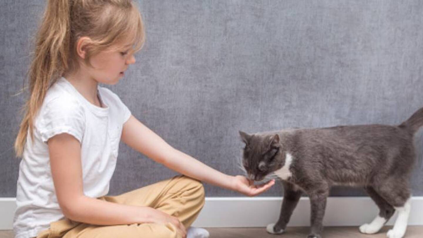 Yo quiero ser gato: Niña descubre que ser humano no tiene ventajas