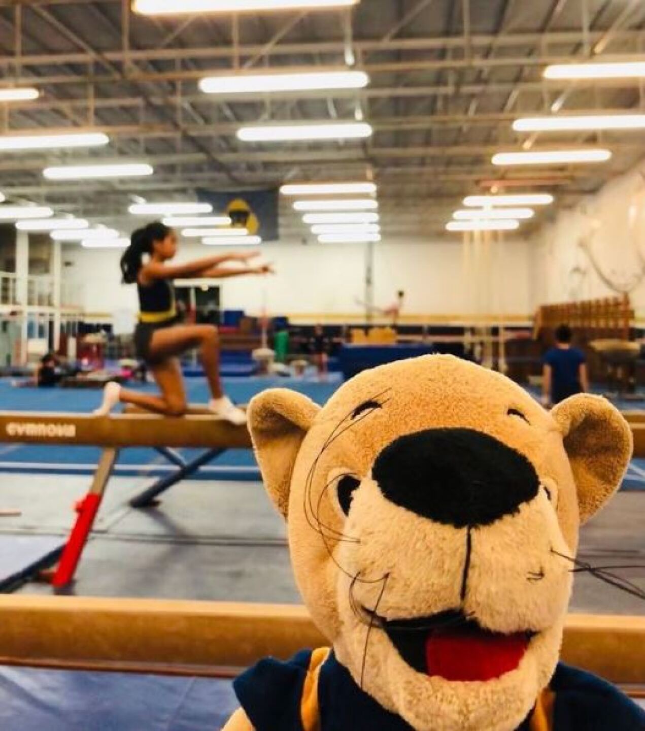 Regreso a clases presenciales.