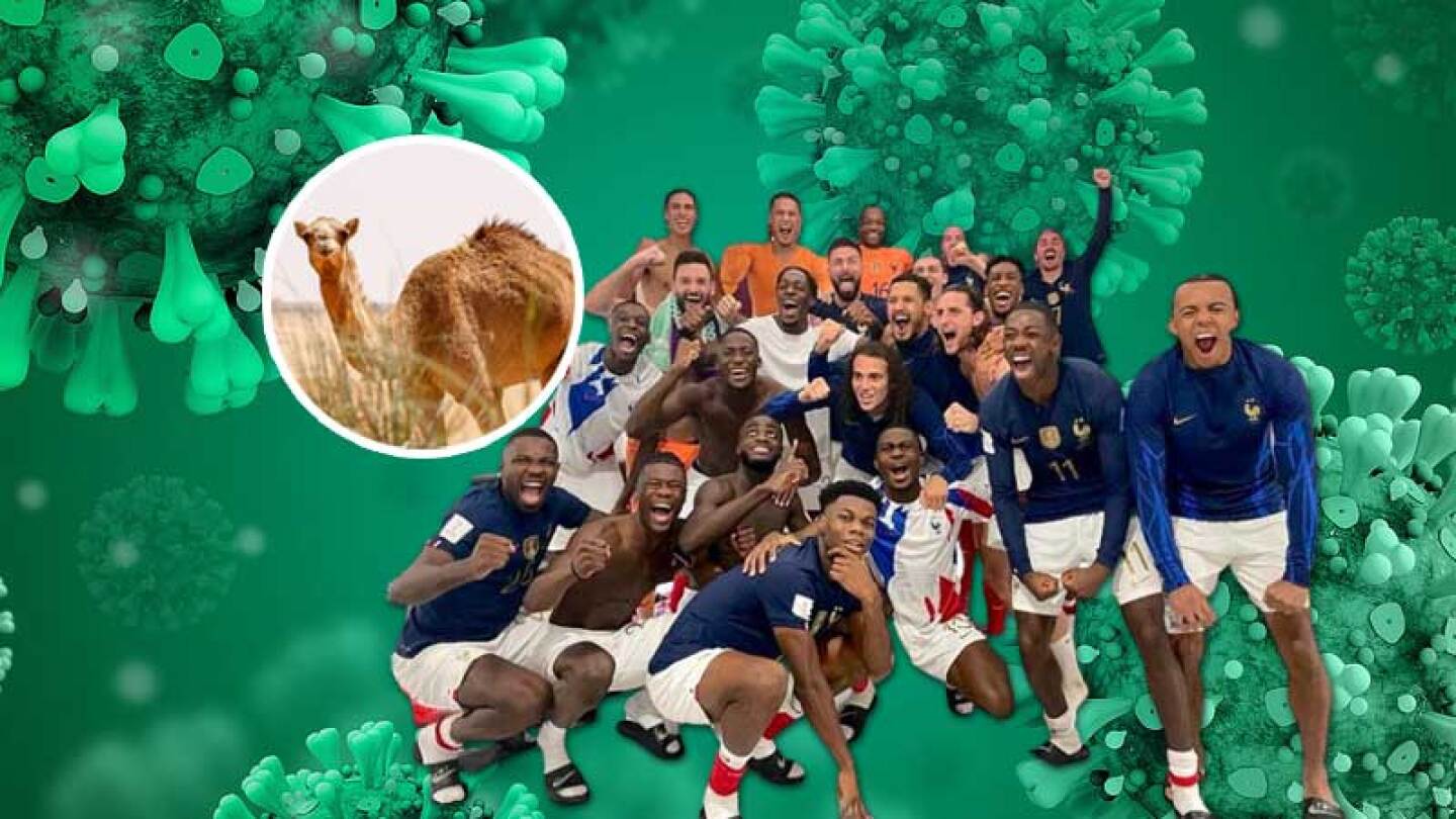 ¿Qué es el virus del camello? la enfermedad que atacó a futbolistas en Qatar