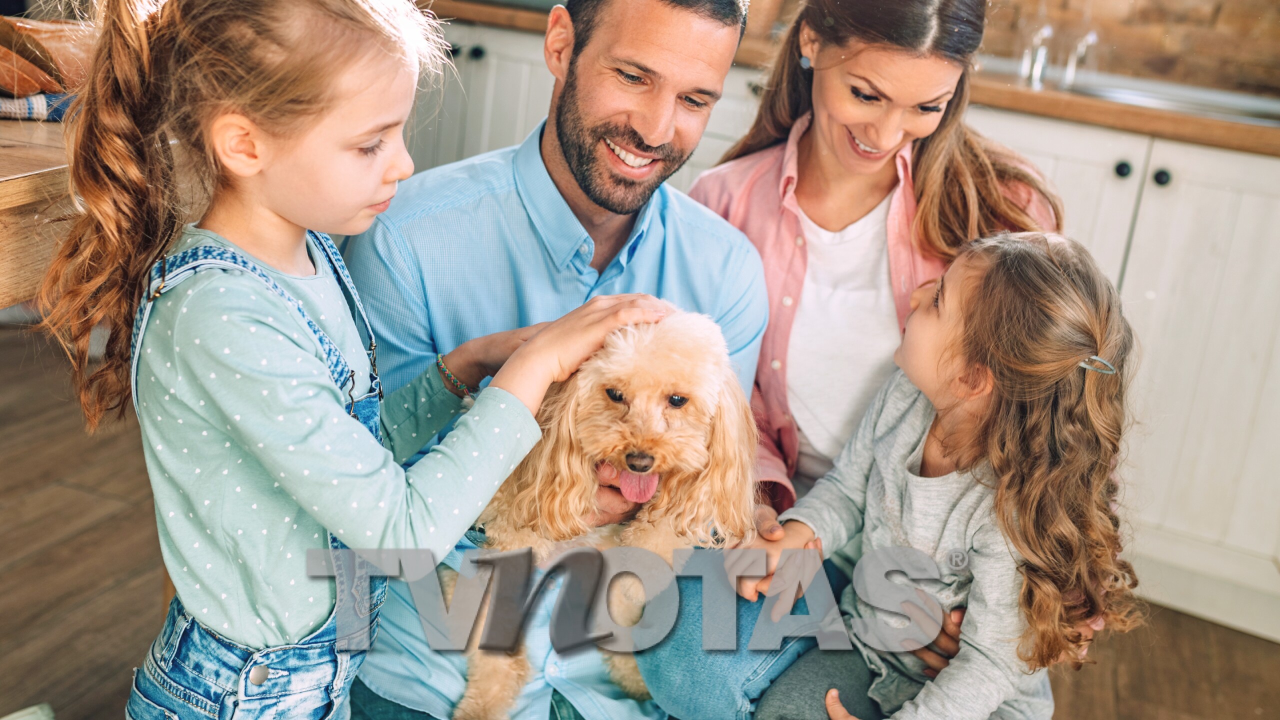 ¿Es aconsejable regalar un perro o un gato en Navidad? Te decimos como tomar una buena decisión