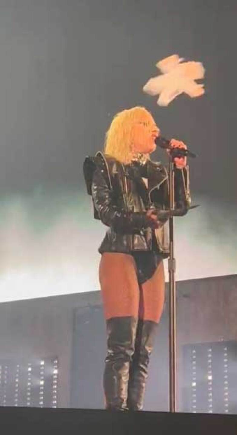Así fue el moemnto en el que Lady Gaga fue golpeada por el peluche