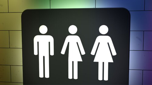 Ahora existe la opción de registrar un tercer sexo en el país europeo