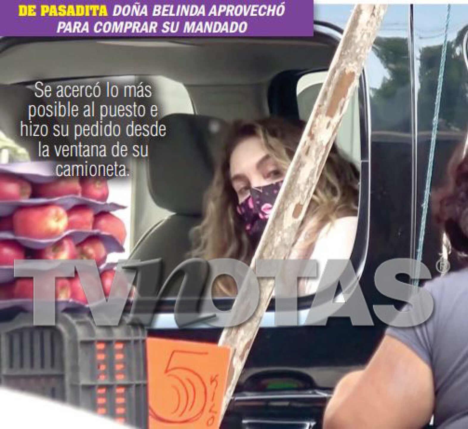 Archivo TVNotas.