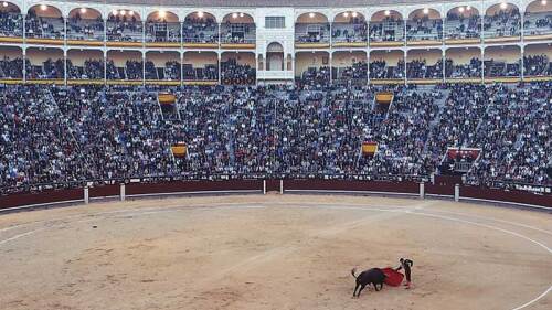 El torero español fue gravemente herido, luego de que un toro lo prendió.