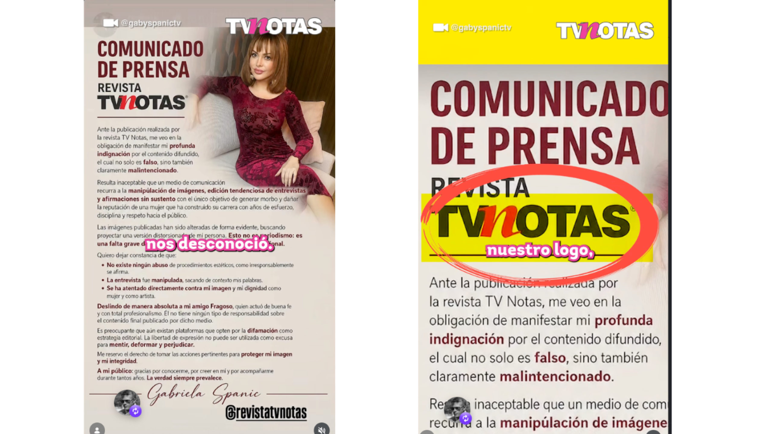 Gaby Spanic VS TVNotas