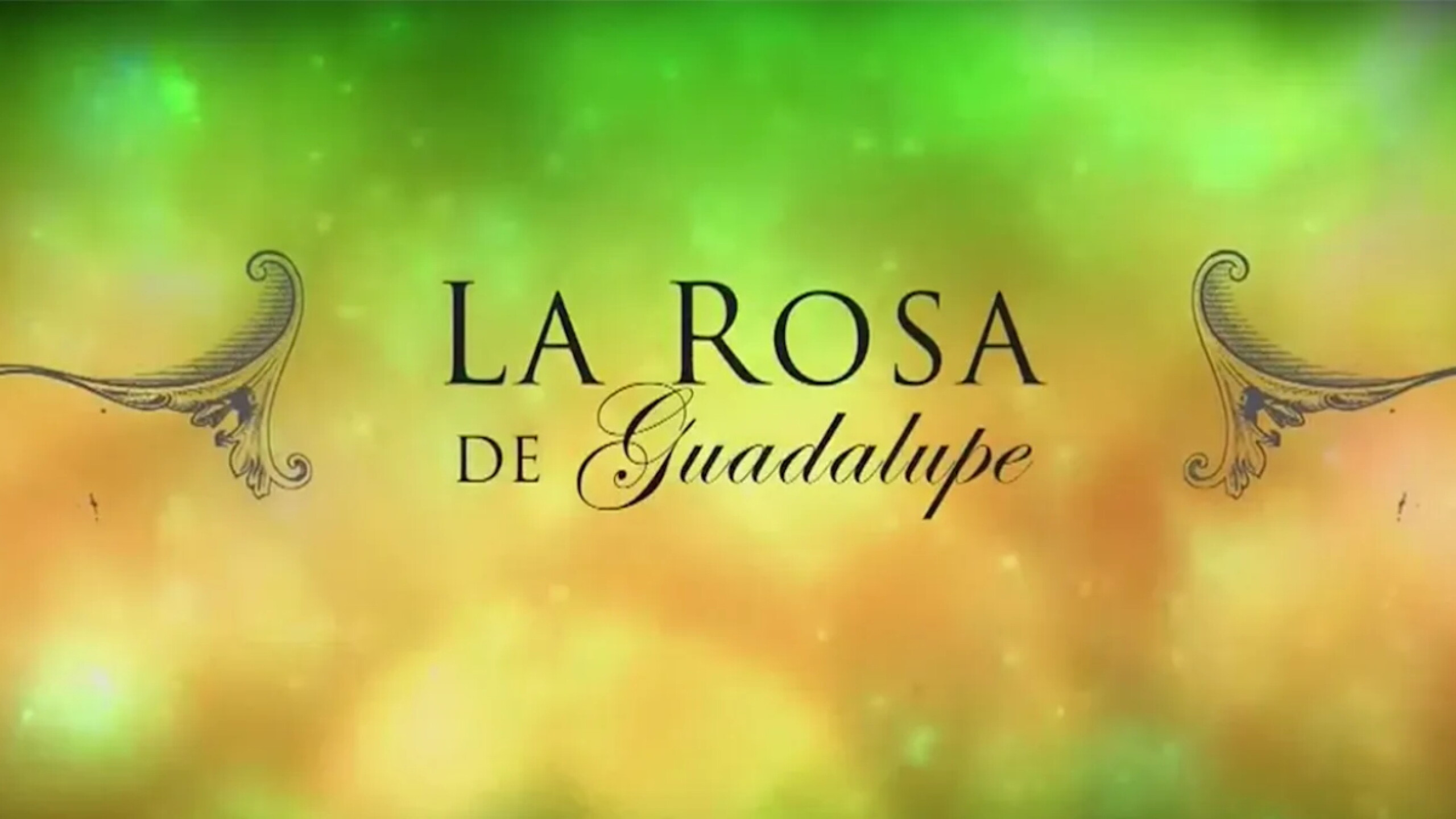 La rosa de Guadalupe