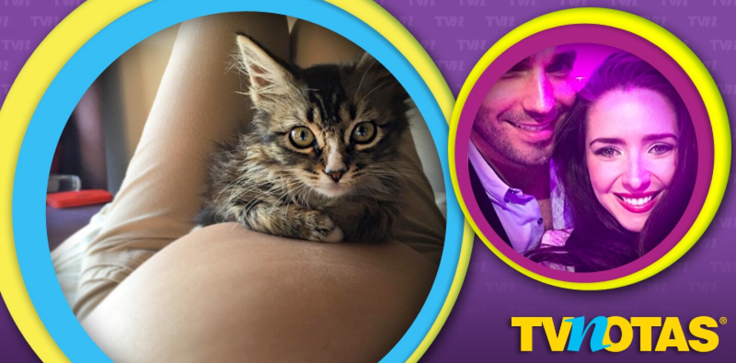 Ariadne Díaz se acerca a la etapa final de su embarazo.