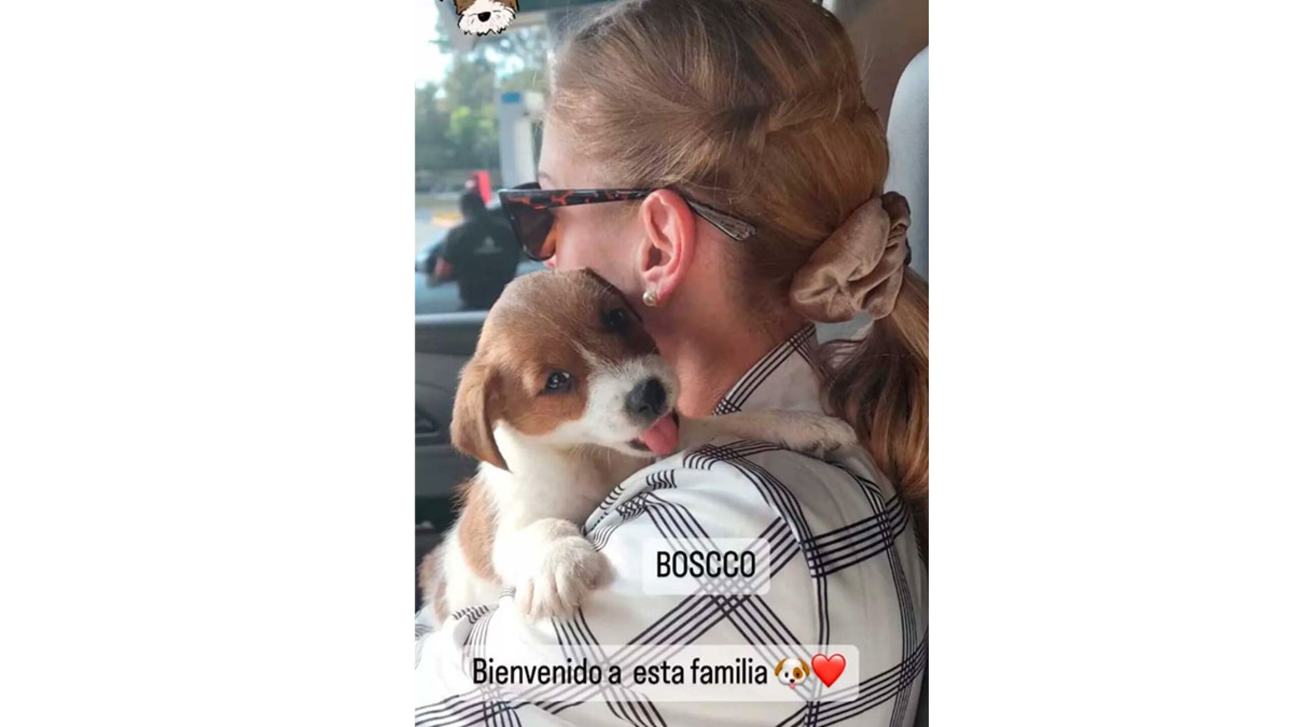 Chantal Andere y su perrito Boscco