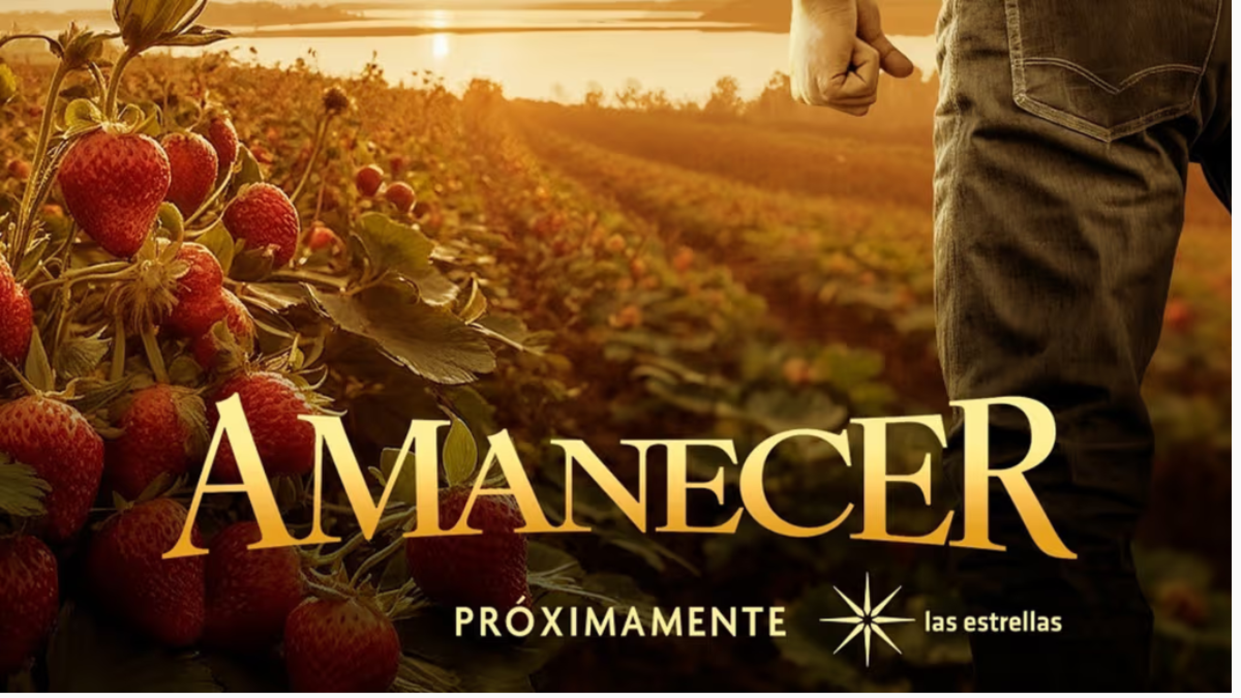 Amanecer de Juan Osorio.png