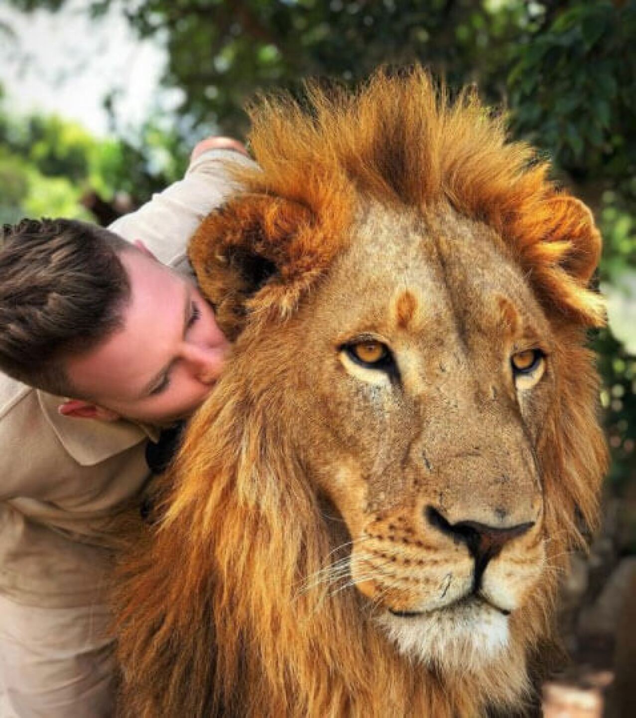 Beso leon viral selva