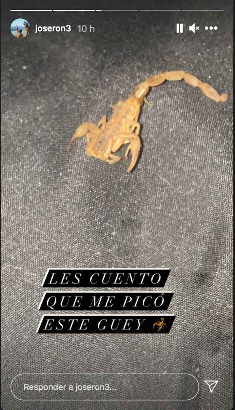 José Ron fue a dar al hospital