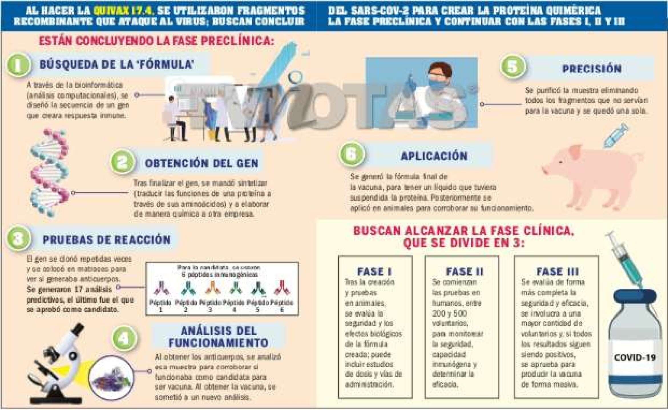 Vacuna covid querétaro
