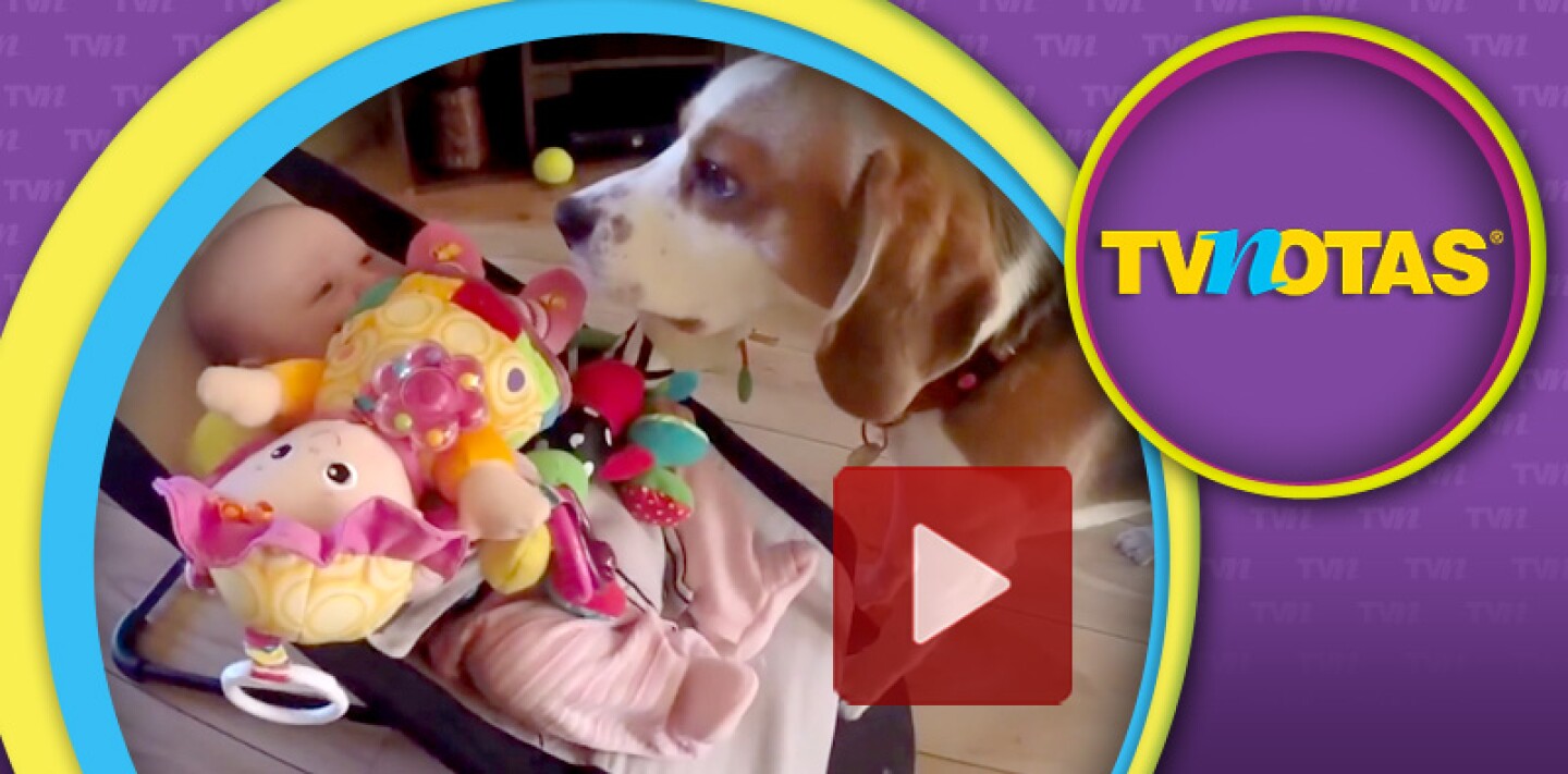 El perrito no quería que la bebé siguiera llorando.