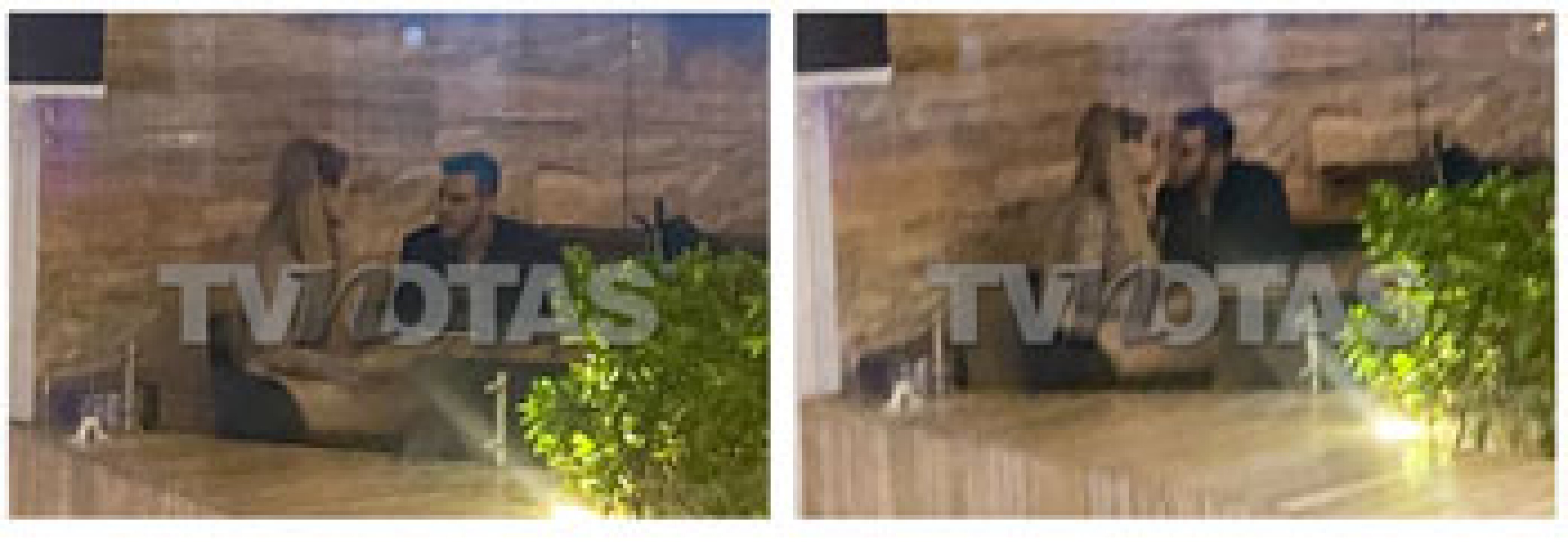 ivonne montero tvnotas