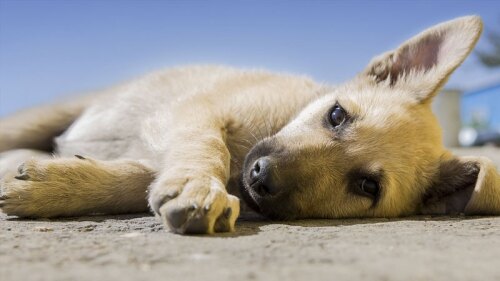 El hecho causó indignación en redes sociales
