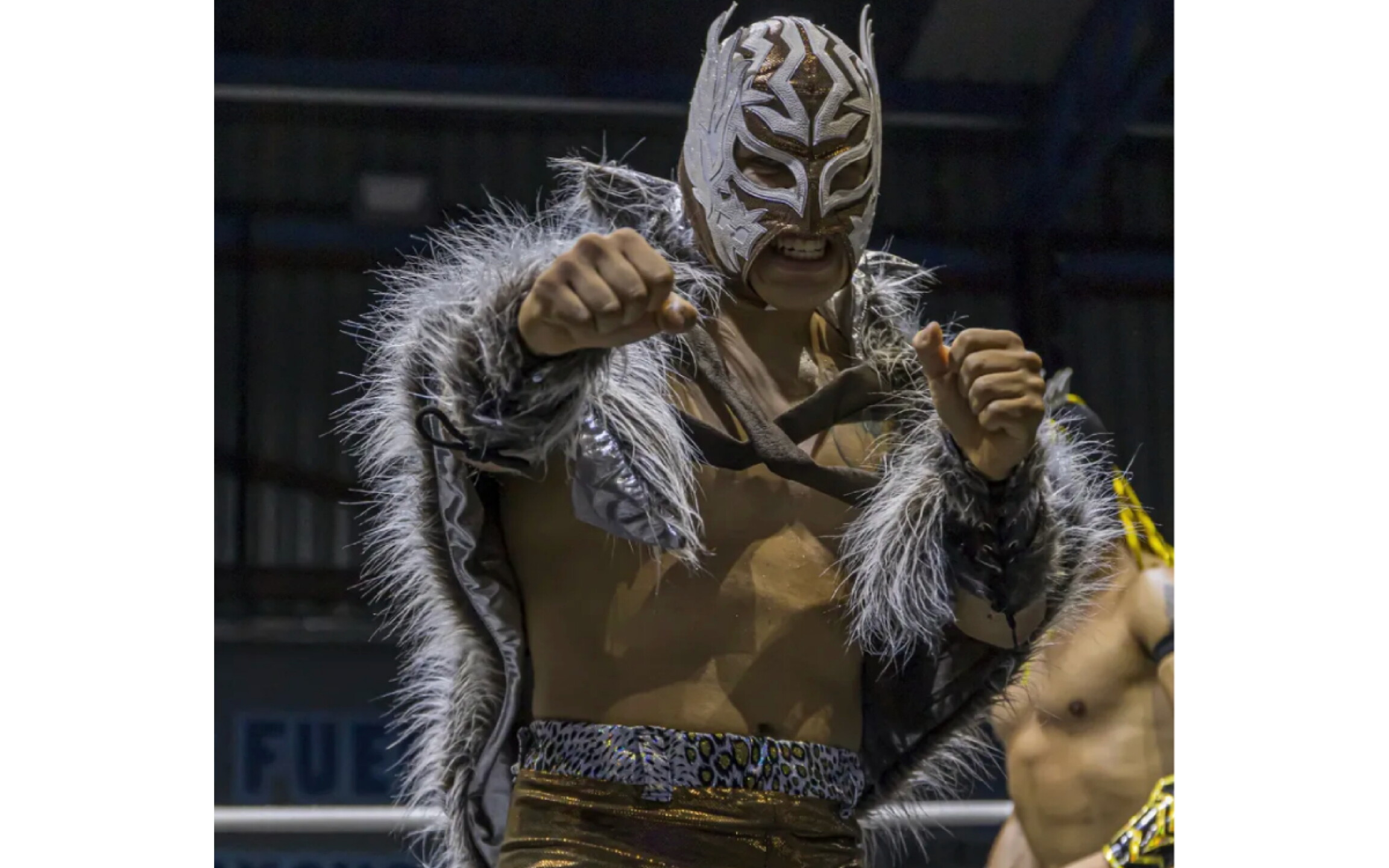 Luchador Tempo