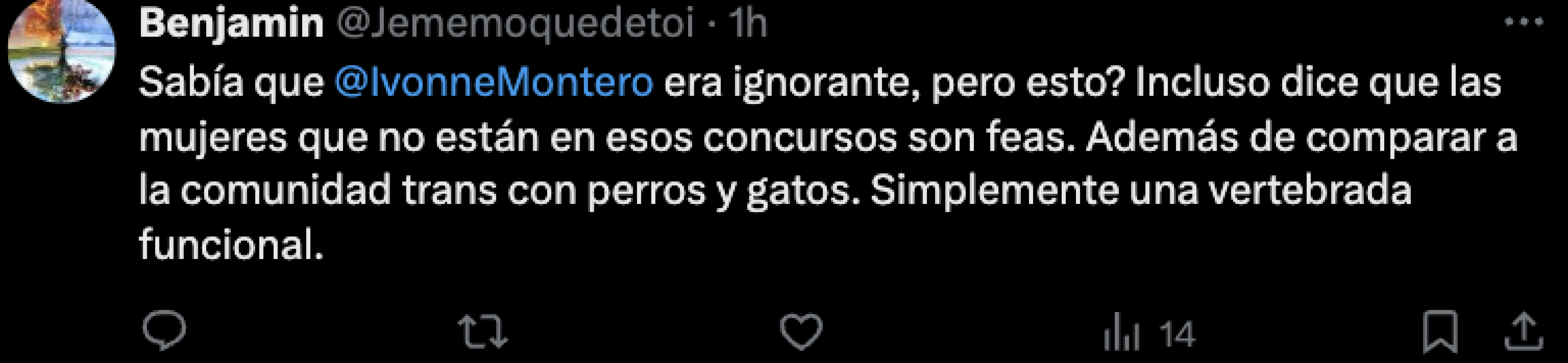 comentarios en redes sociales