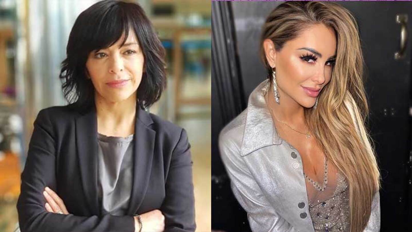 Ninel Conde negó tener relacion con personas ilegales