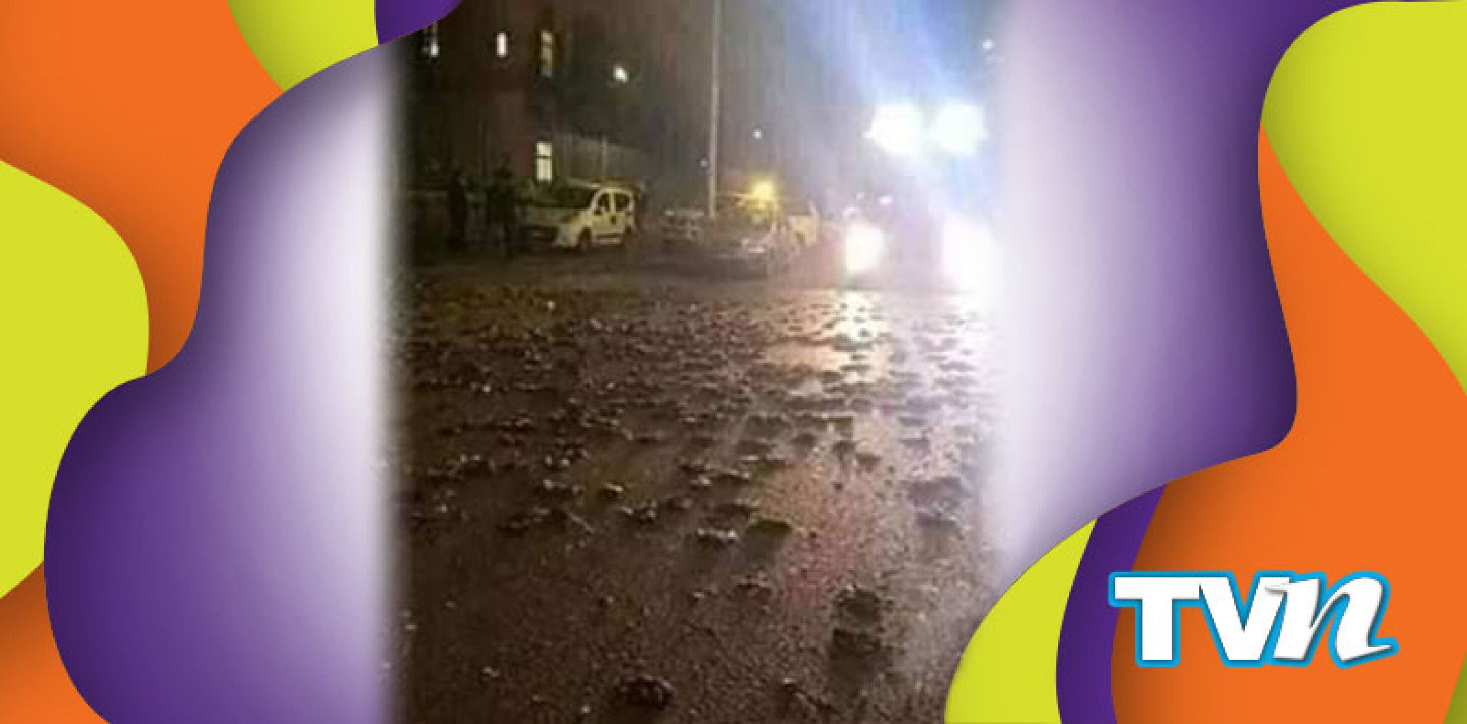 pájaros muertos en europa