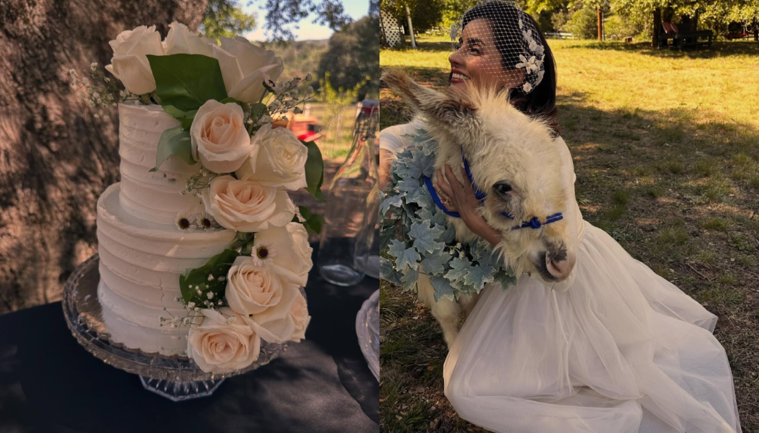 boda-paola-nuñez (2).jpg