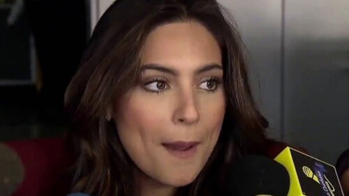 ¿Ana Brenda está embarazada?