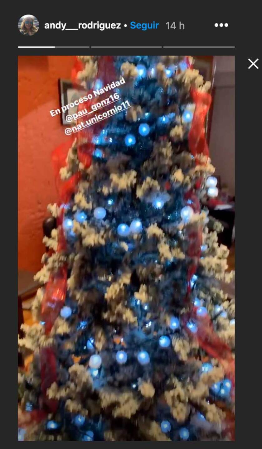 Andrea Rodríguez decora su casa de Navidad