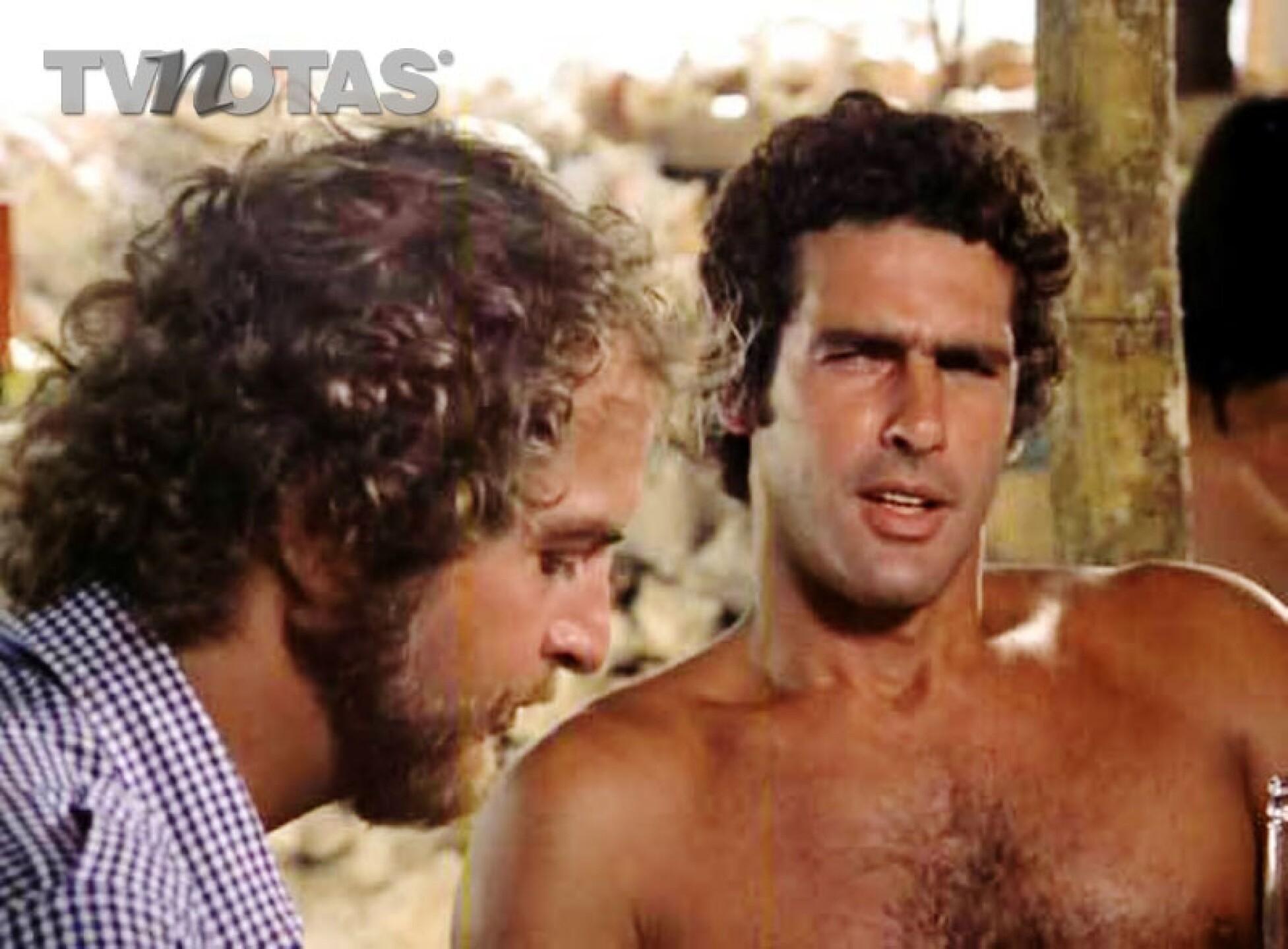 Tintorera fue estrenada en 1977