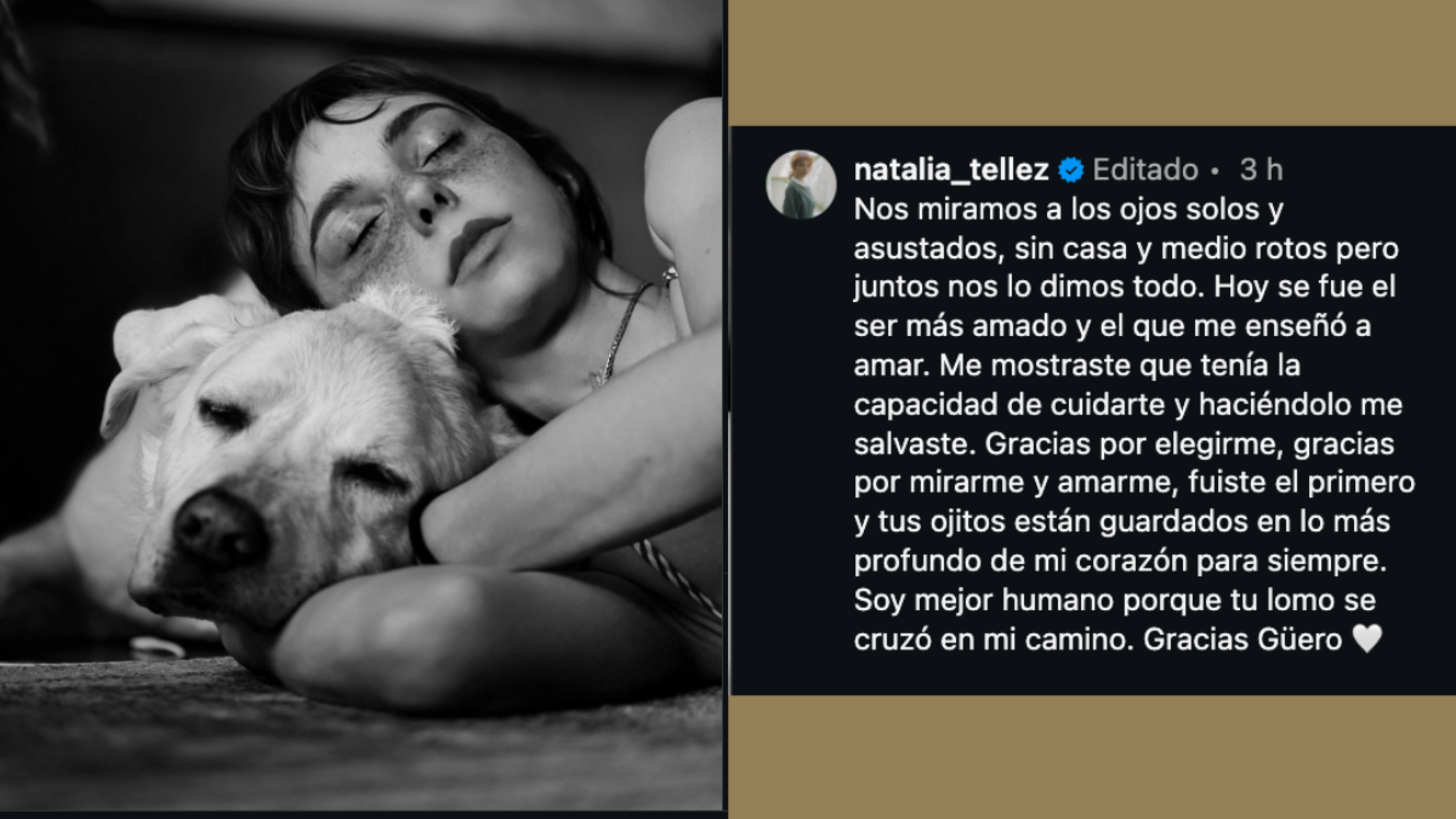 Natalia Téllez la muerte de su perrito