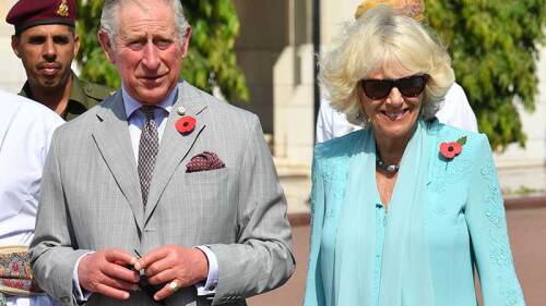 Camila ya usa las joyas de la corona.