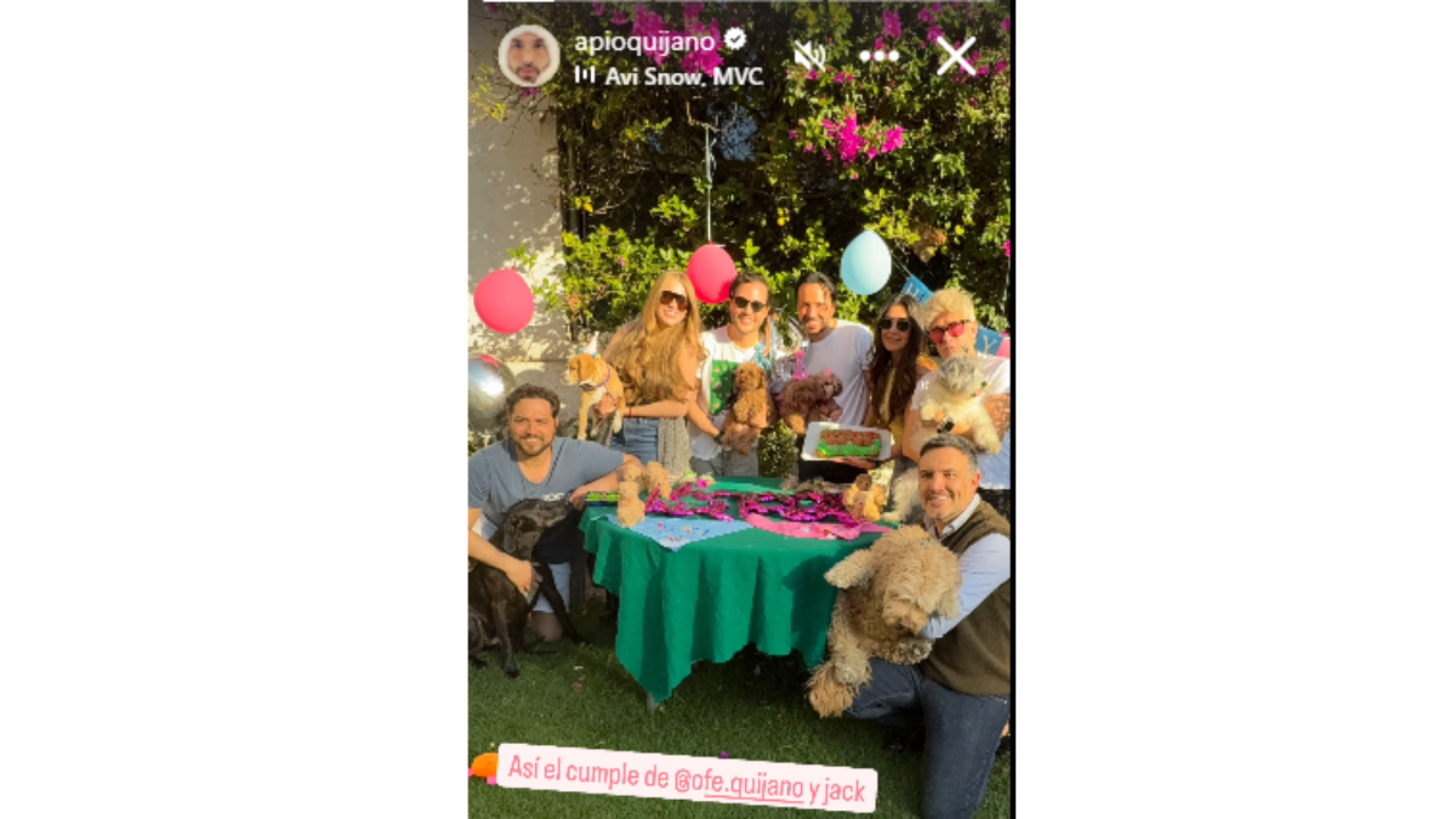 Apio quijano fiesta de su perrita