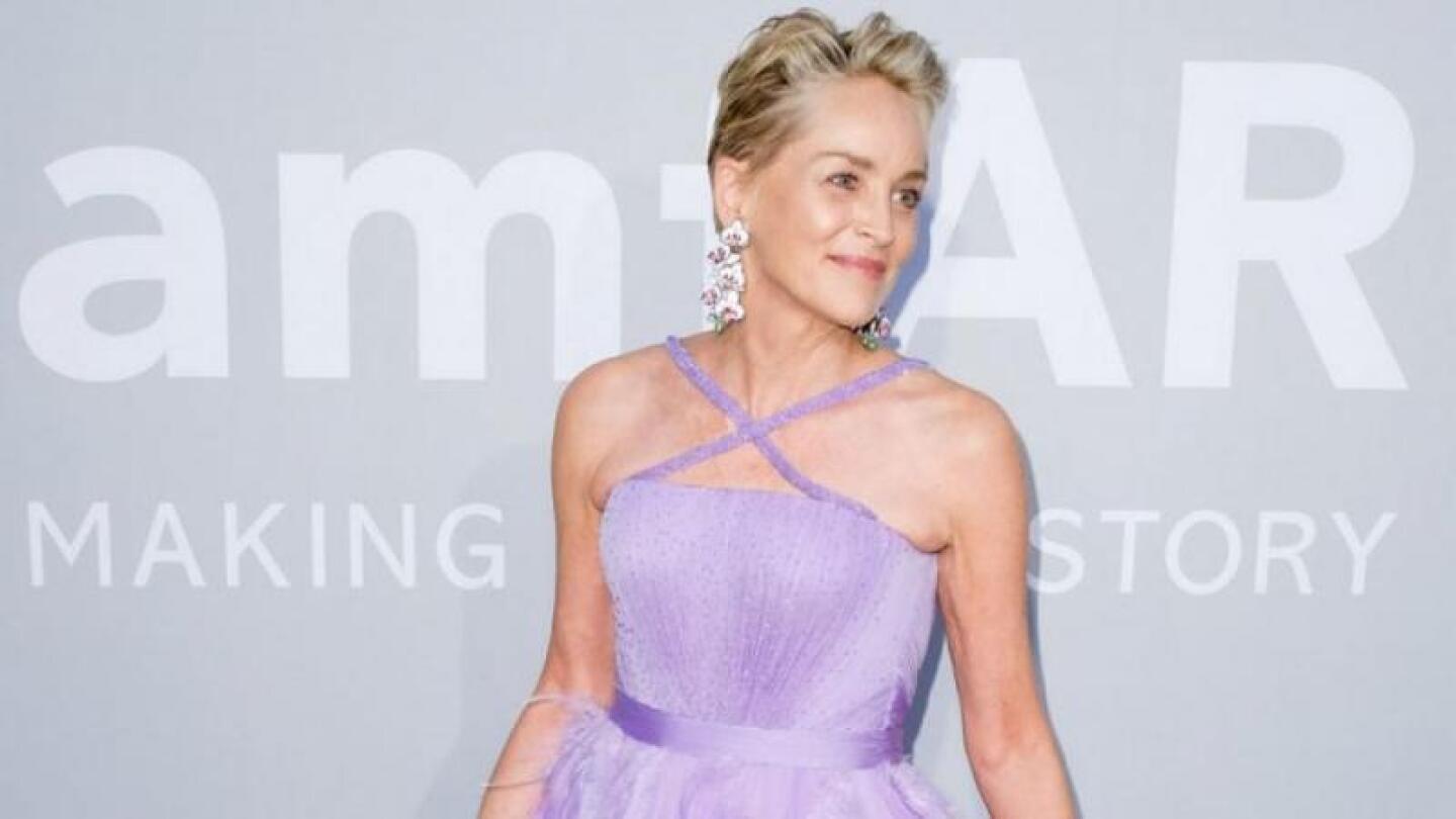 sharon stone tvnotas