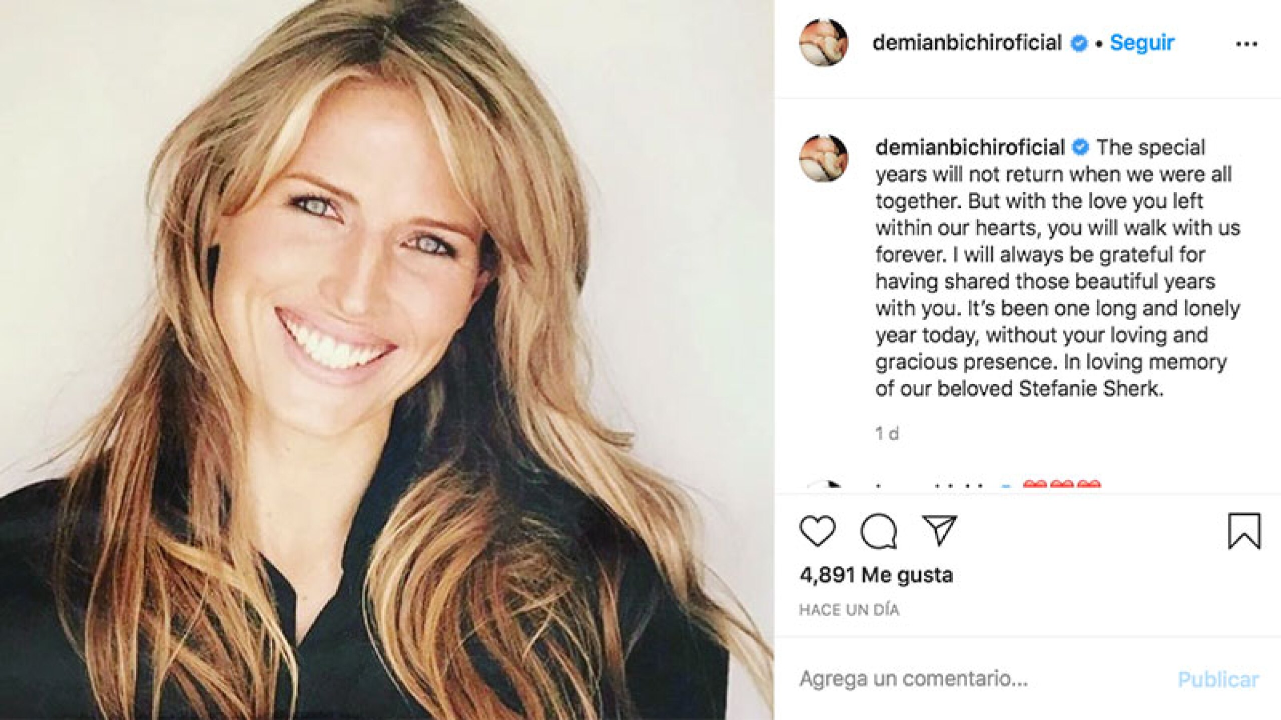 demian bichir Stefanie Sherk