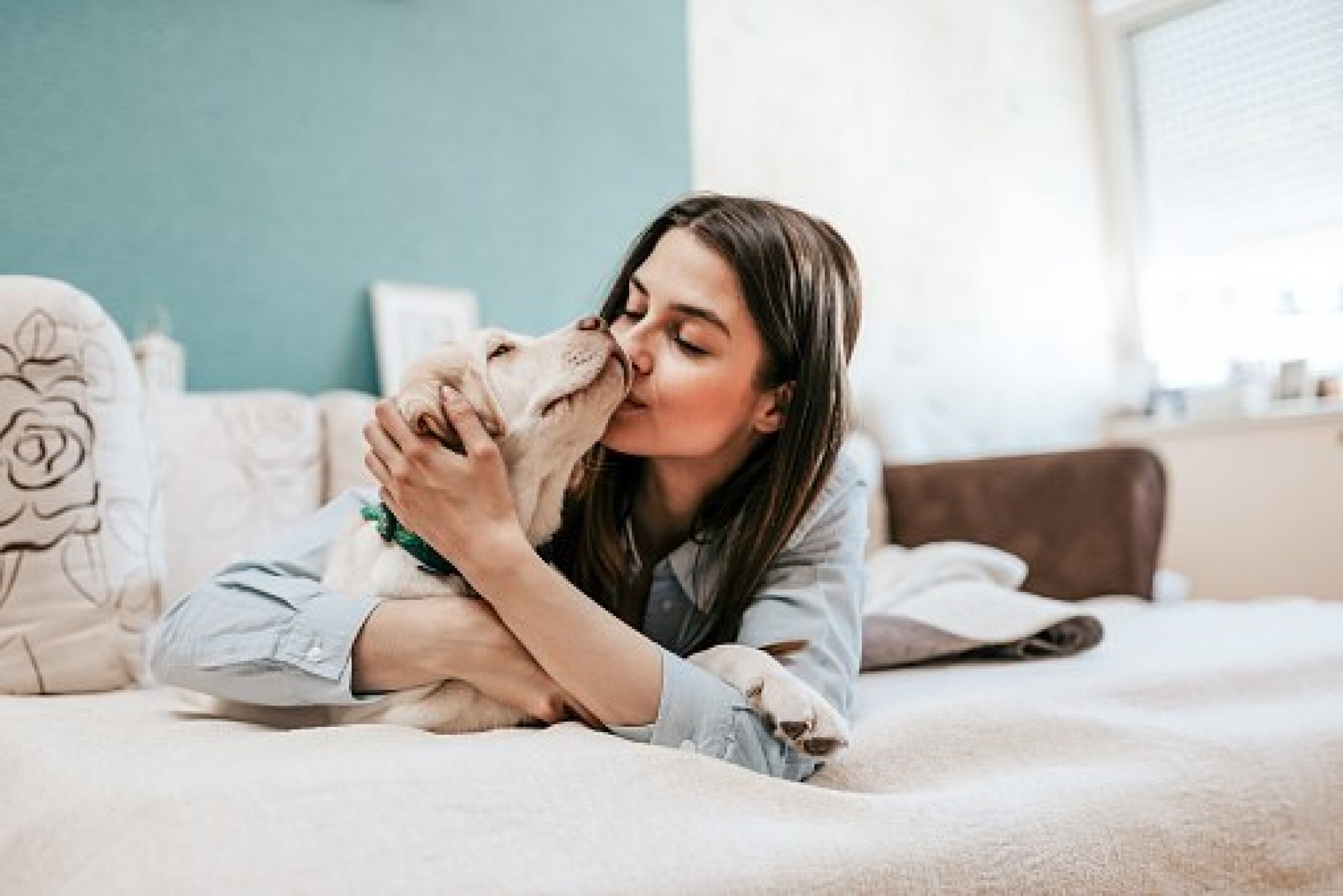 mascotas habitación cama beneficios