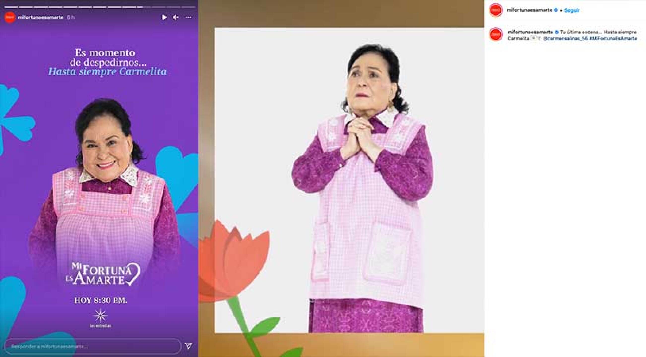 Carmen Salinas tuvo su última participación en la novela