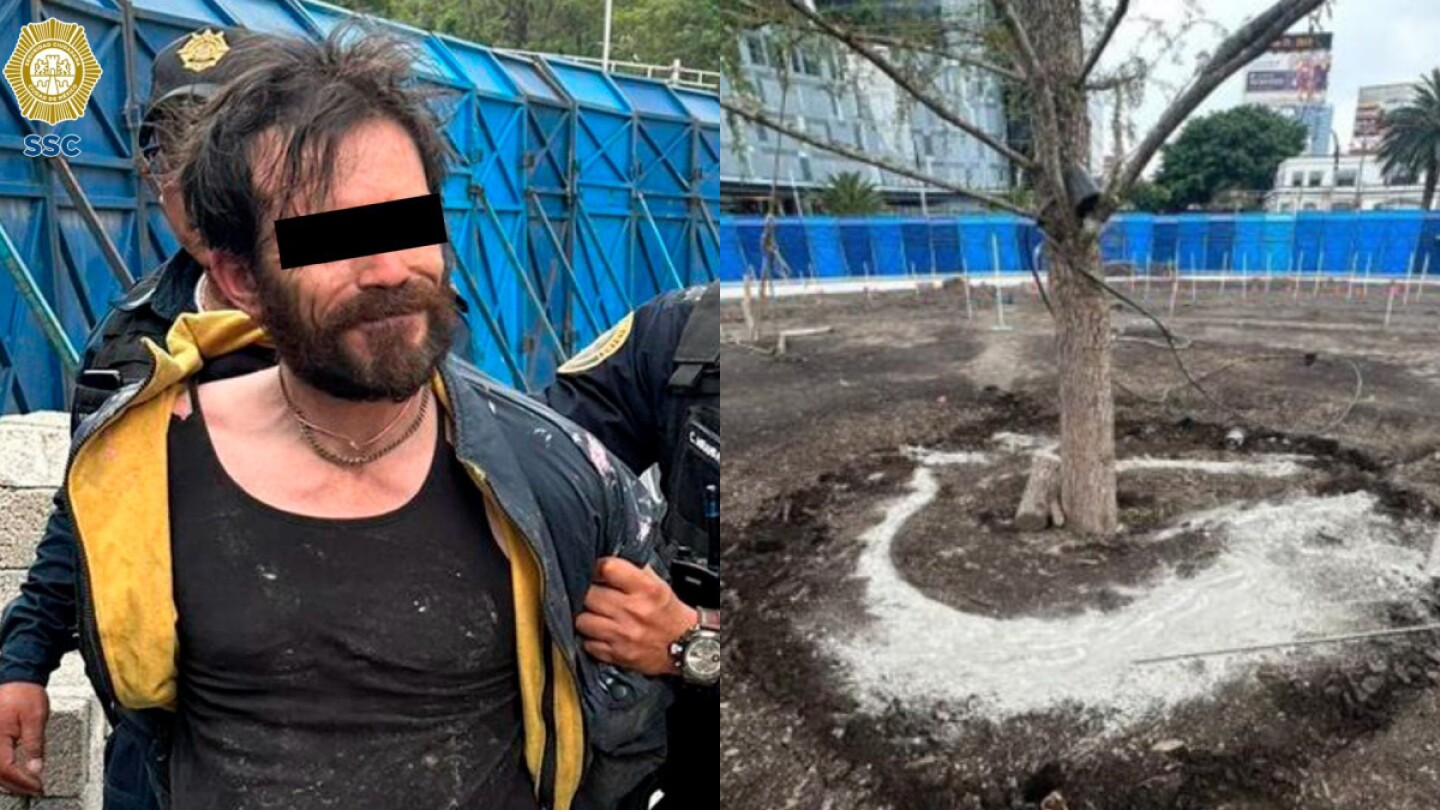 Detienen a sujeto que arrojó cemento al ahuehuete de Paseo de la Reforma