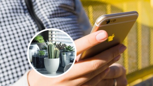 Hombre trata de ligar a influencer con cumplido ecológico