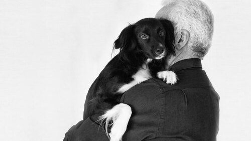 Vida en años humanos