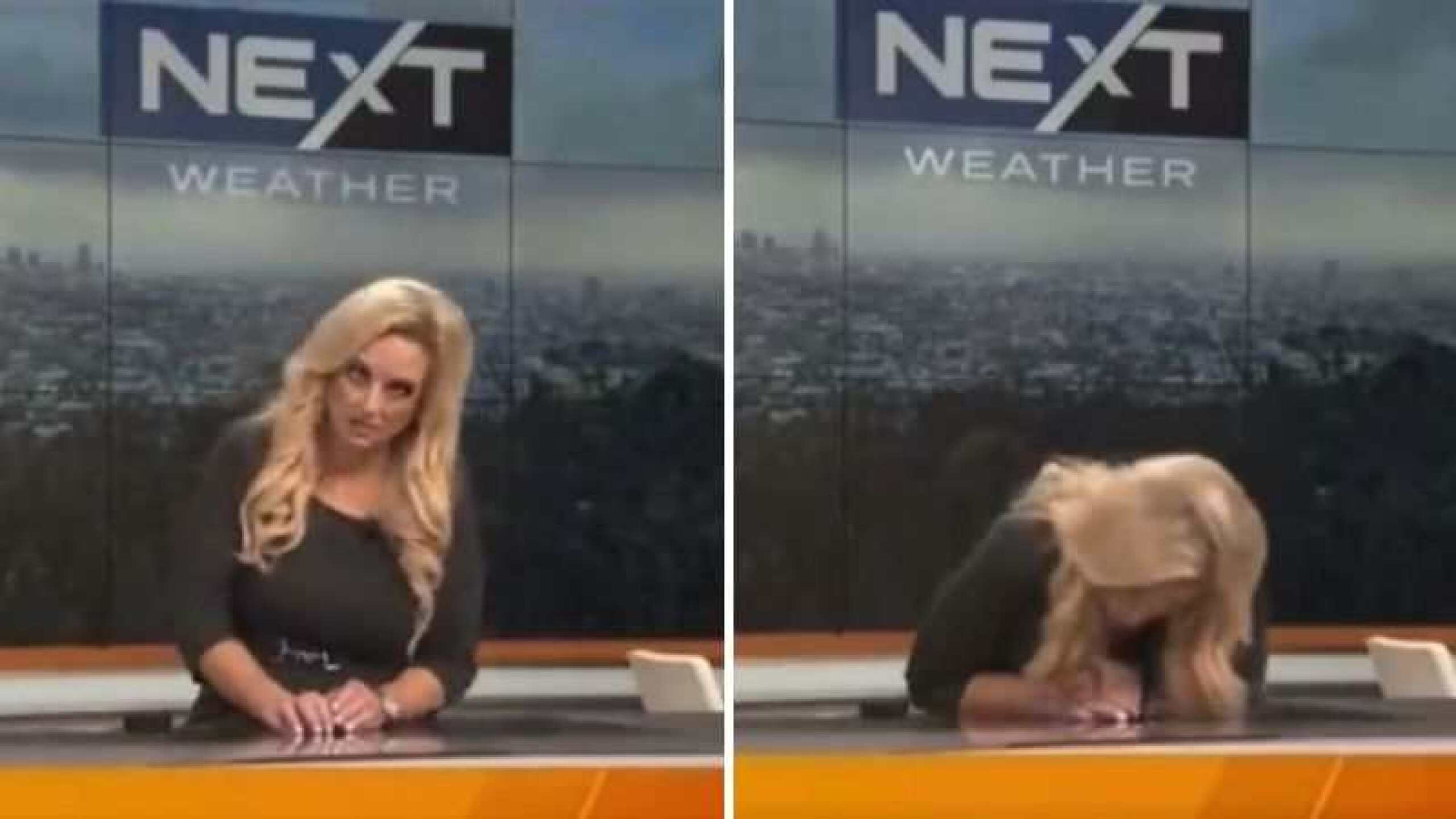 Carlson se desmayó en plena presentación del tiempo.