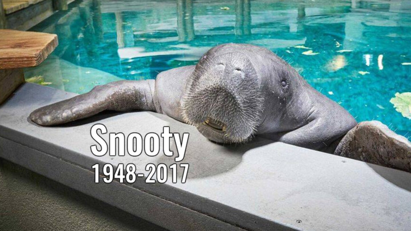 Snooty.