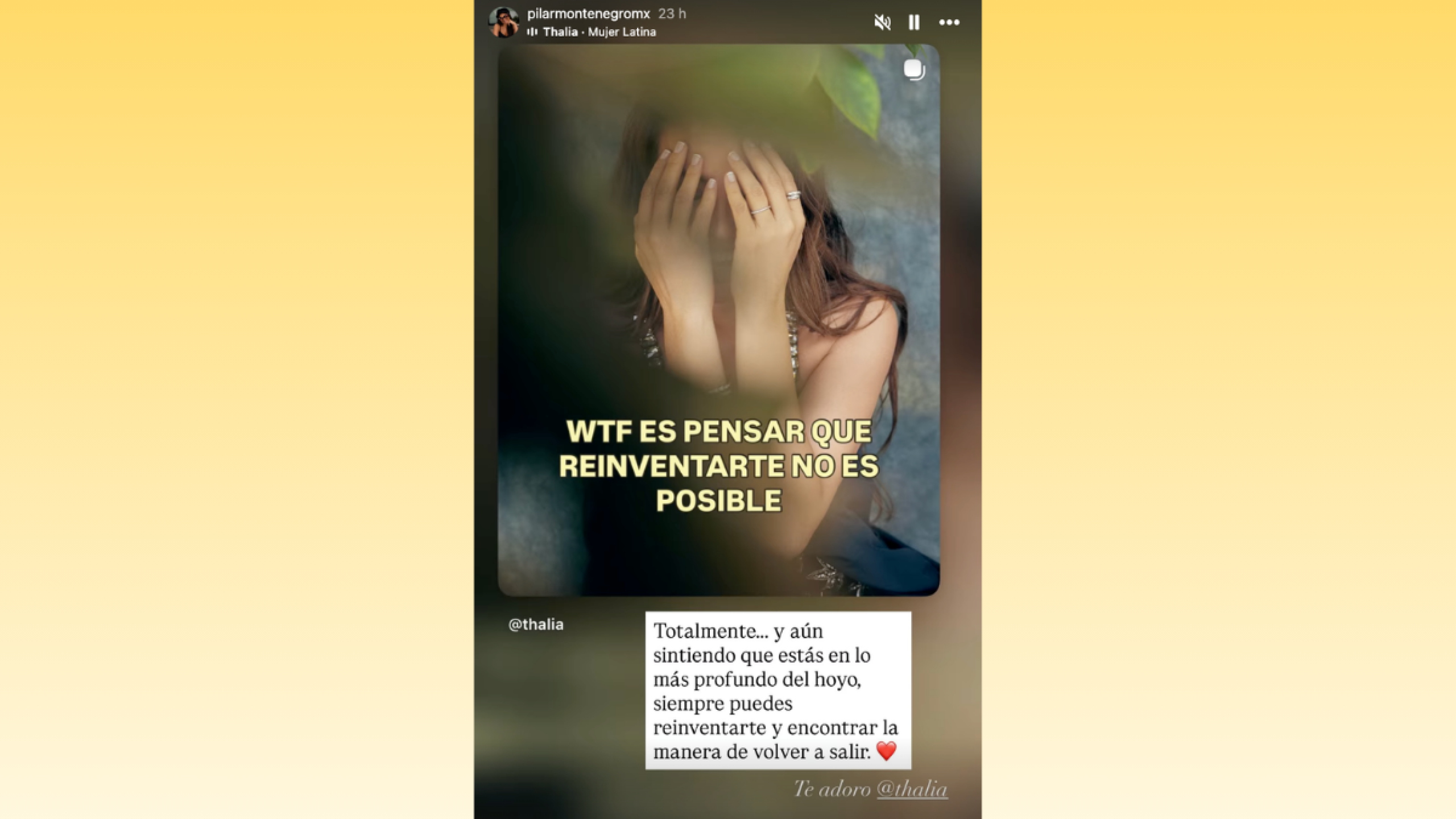 Pilar Montenegro reaparece en redes sociales