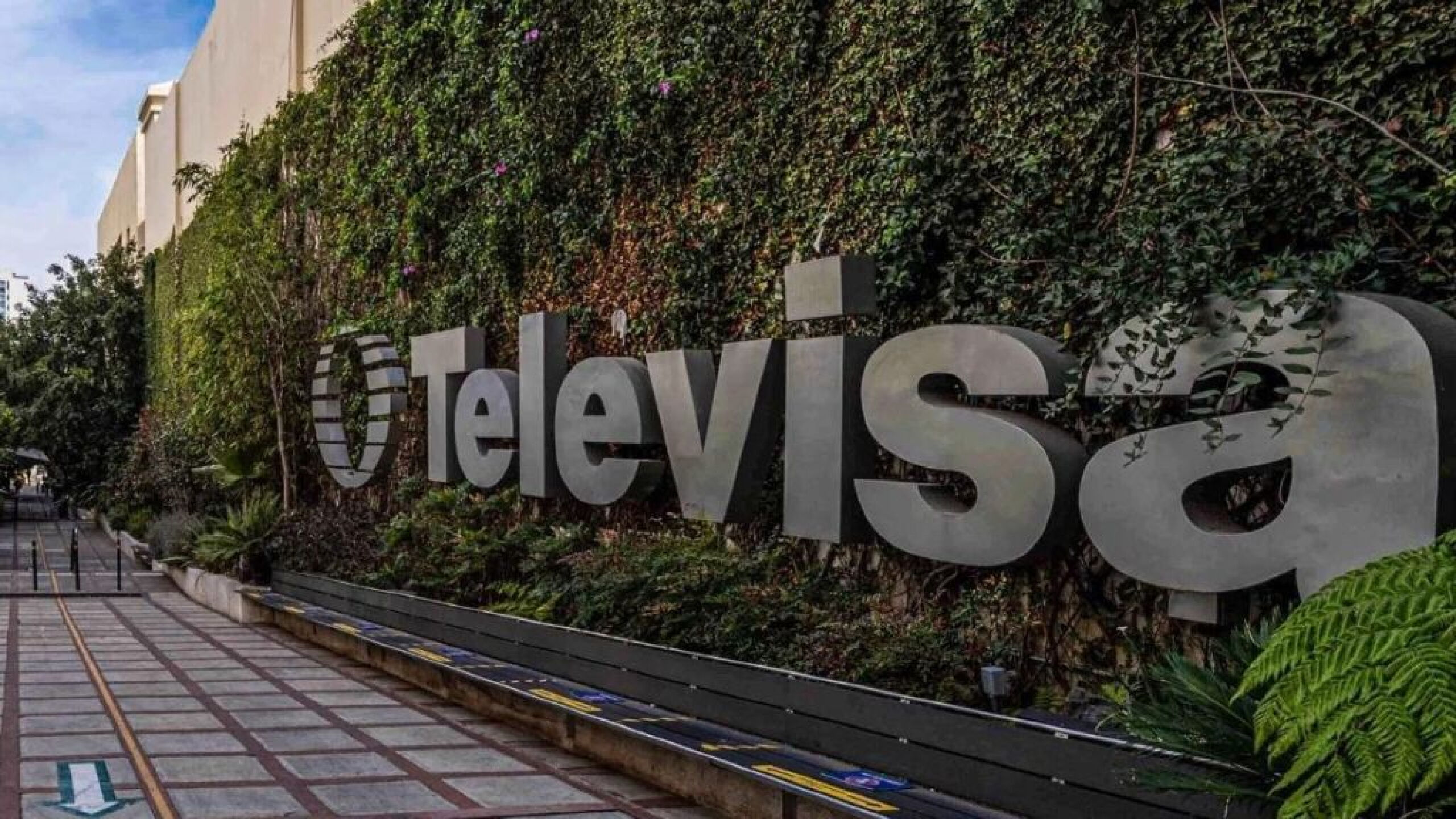 Televisa actor fallece