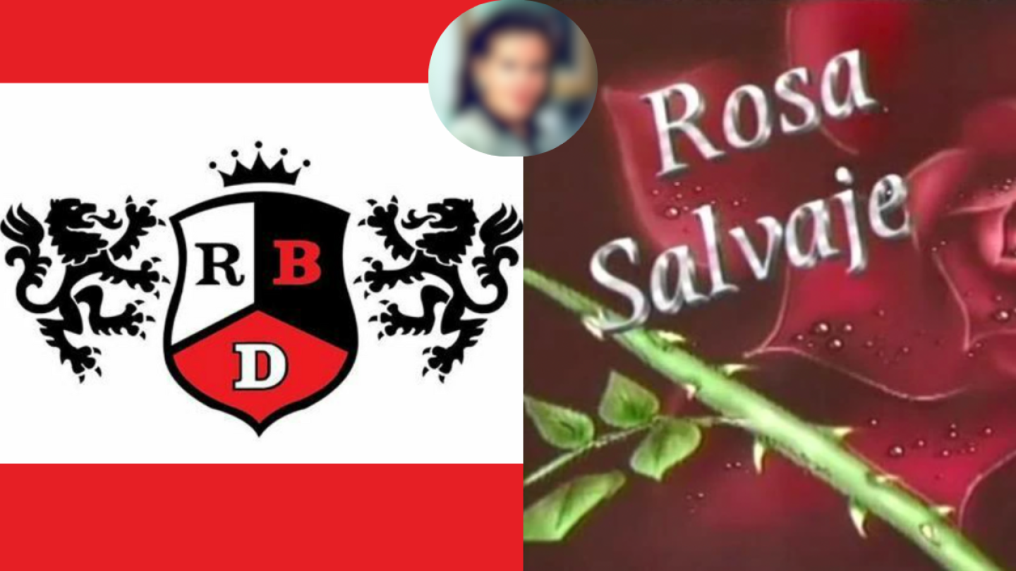 Renata Flores, RBD y Rosa salvaje
